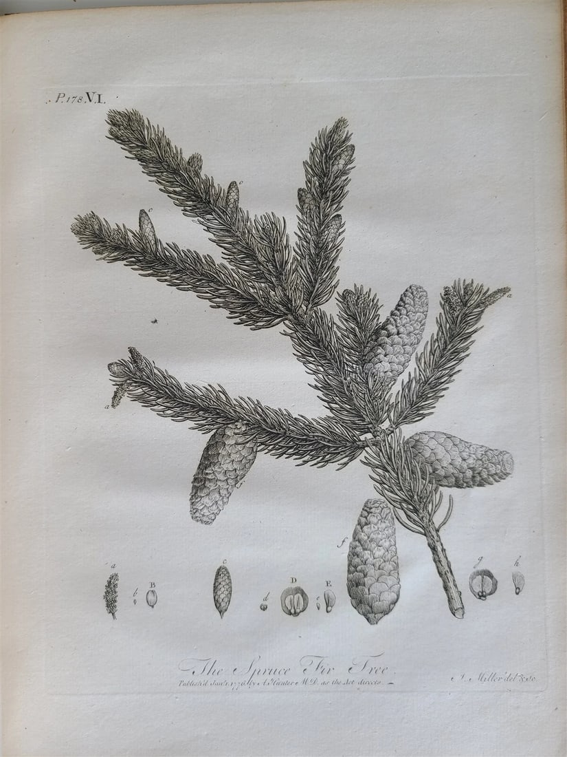 1786 SILVA: DISCOURSE OF FOREST TREES 2 VOLUMES ILLUSTRATED antique in ENGLISH - 7