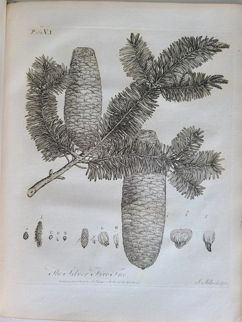 1786 SILVA: DISCOURSE OF FOREST TREES 2 VOLUMES ILLUSTRATED antique in ENGLISH - 8