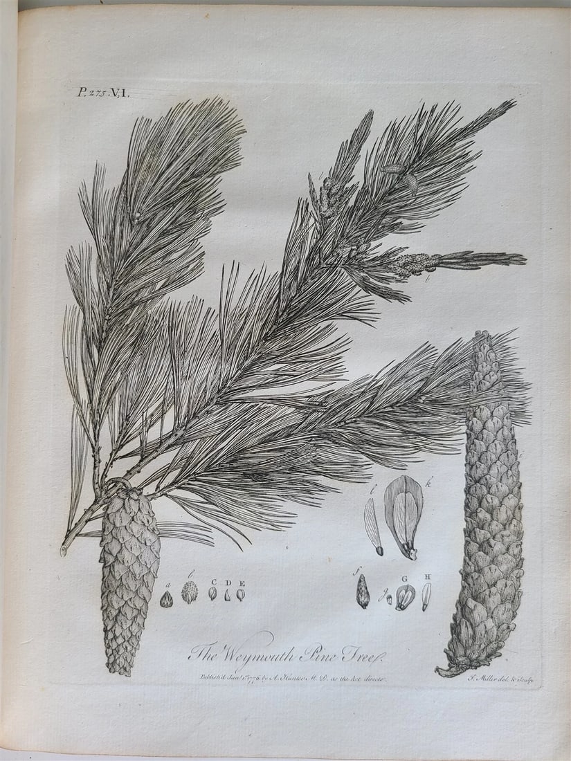 1786 SILVA: DISCOURSE OF FOREST TREES 2 VOLUMES ILLUSTRATED antique in ENGLISH - 9