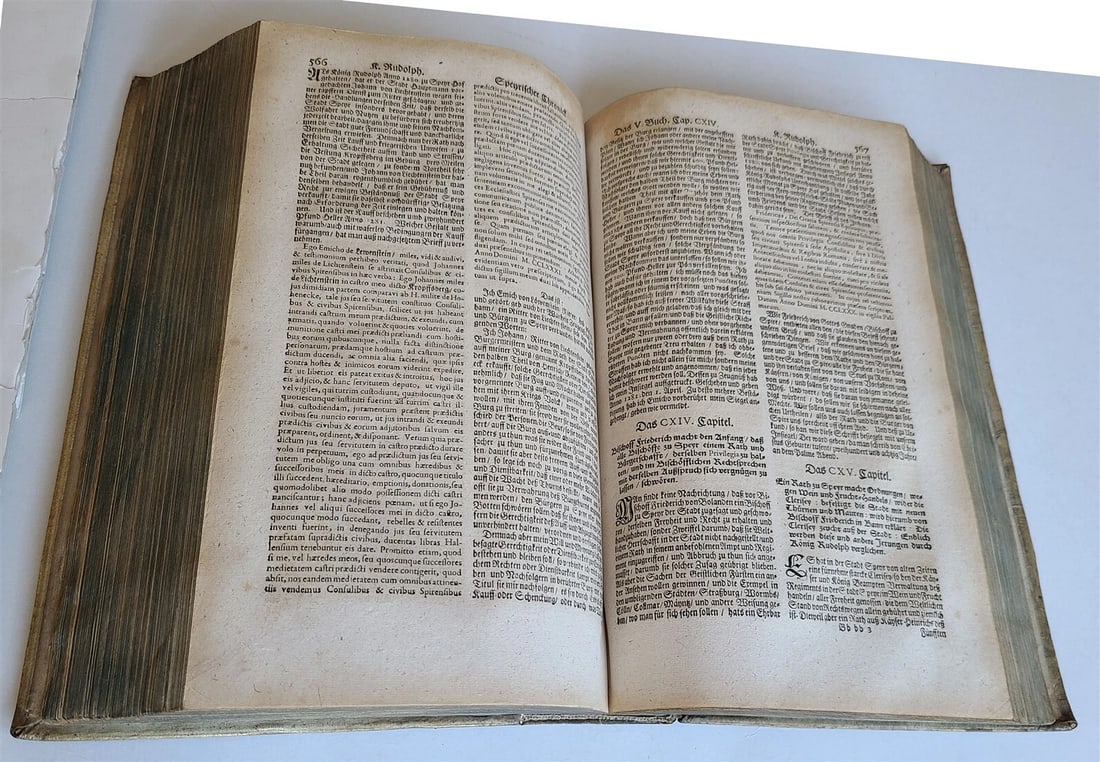 1711 GERMAN HISTORY antique Chronica of City of Speier PIGSKIN BOUND FOLIO - 10