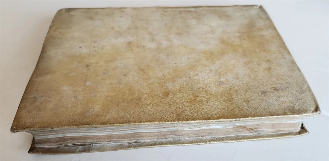 1572 DE SERMONI DI SAN CIPRIANO SAN BERNARDO & SANTO ANSELMO antique VELLUM - 9