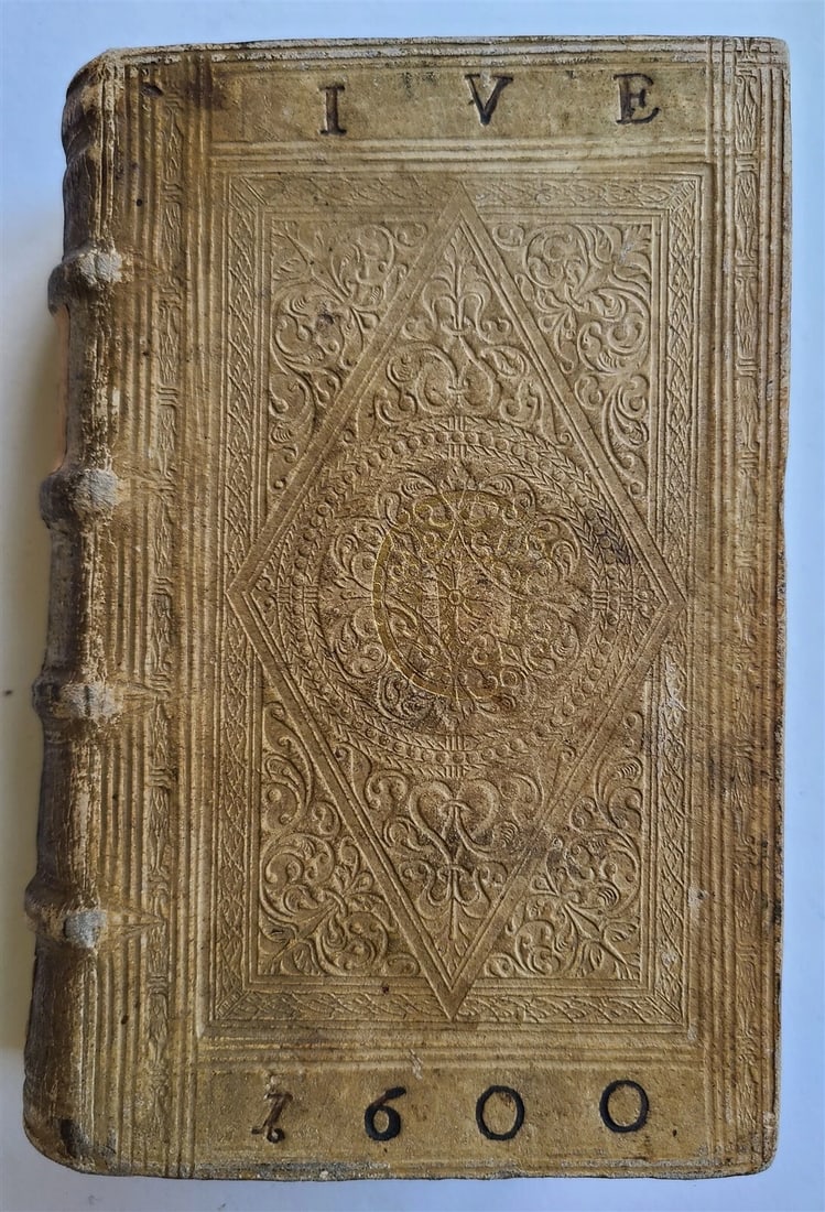 1586-1593 LAW BOOK by CAESARIS CONTARDI antique FINE HAND TOOLED PIGSKIN BINDING - 3