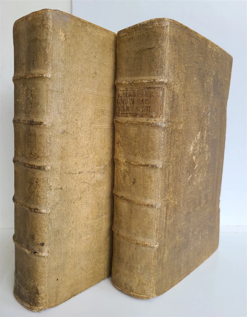 1770 BIBLE in GERMAN & LATIN ILLUSTRATED 2 FOLIO VOLUMES antique PIGSKIN BINDING (1 of 15)