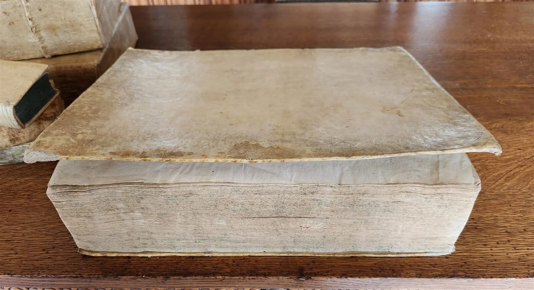 1557 LAW BOOK PART of Corpus Juris Civilis DIGESTA antique MASSIVE FOLIO vellum - 5