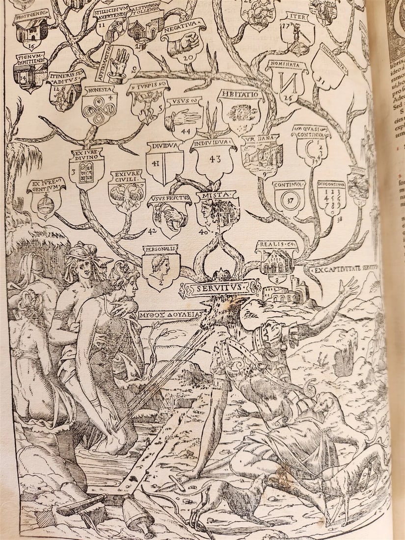 1557 LAW BOOK PART of Corpus Juris Civilis DIGESTA antique MASSIVE FOLIO vellum - 6