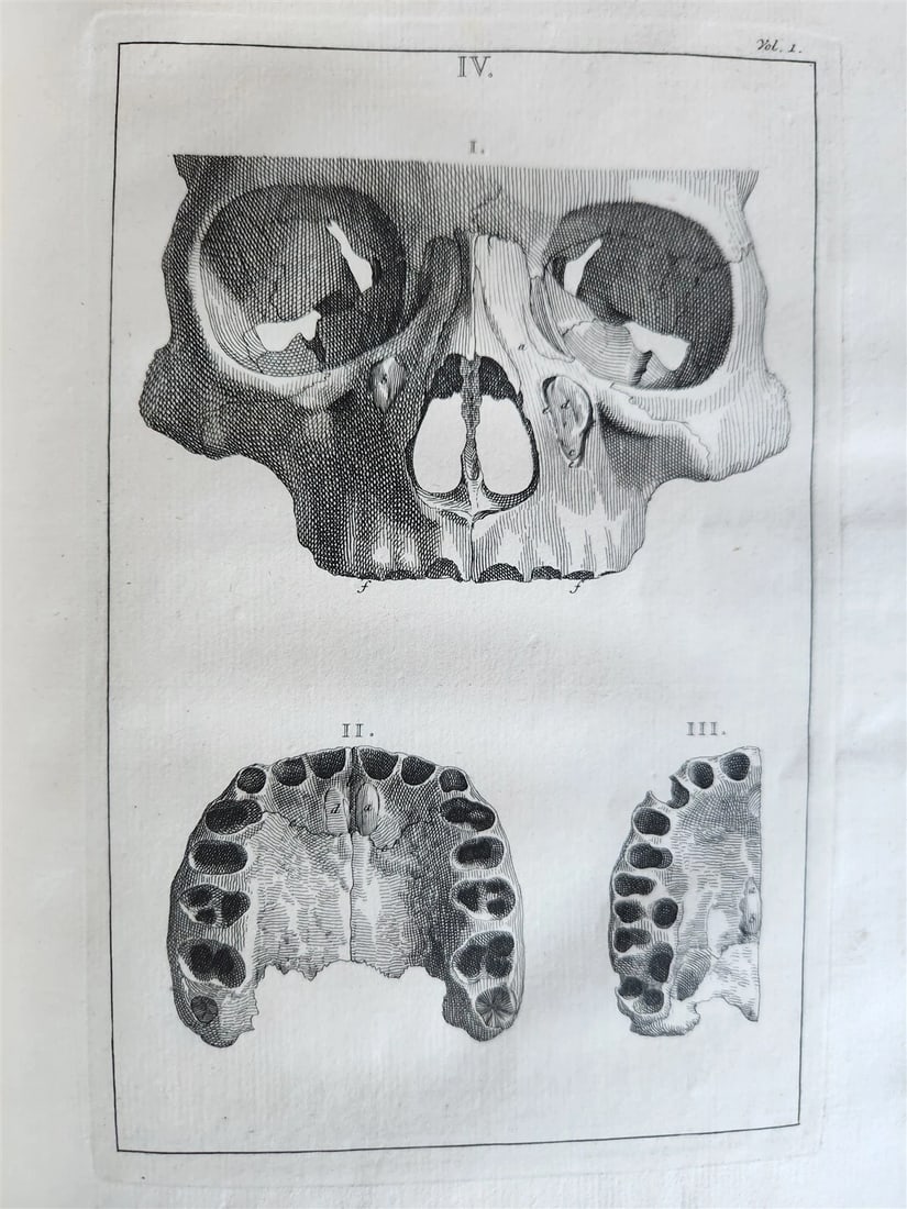 1754 ANATOMY DENTISTRY BOTANY antique ILLUSTRATED Continet anatomica physiology (1 of 15)