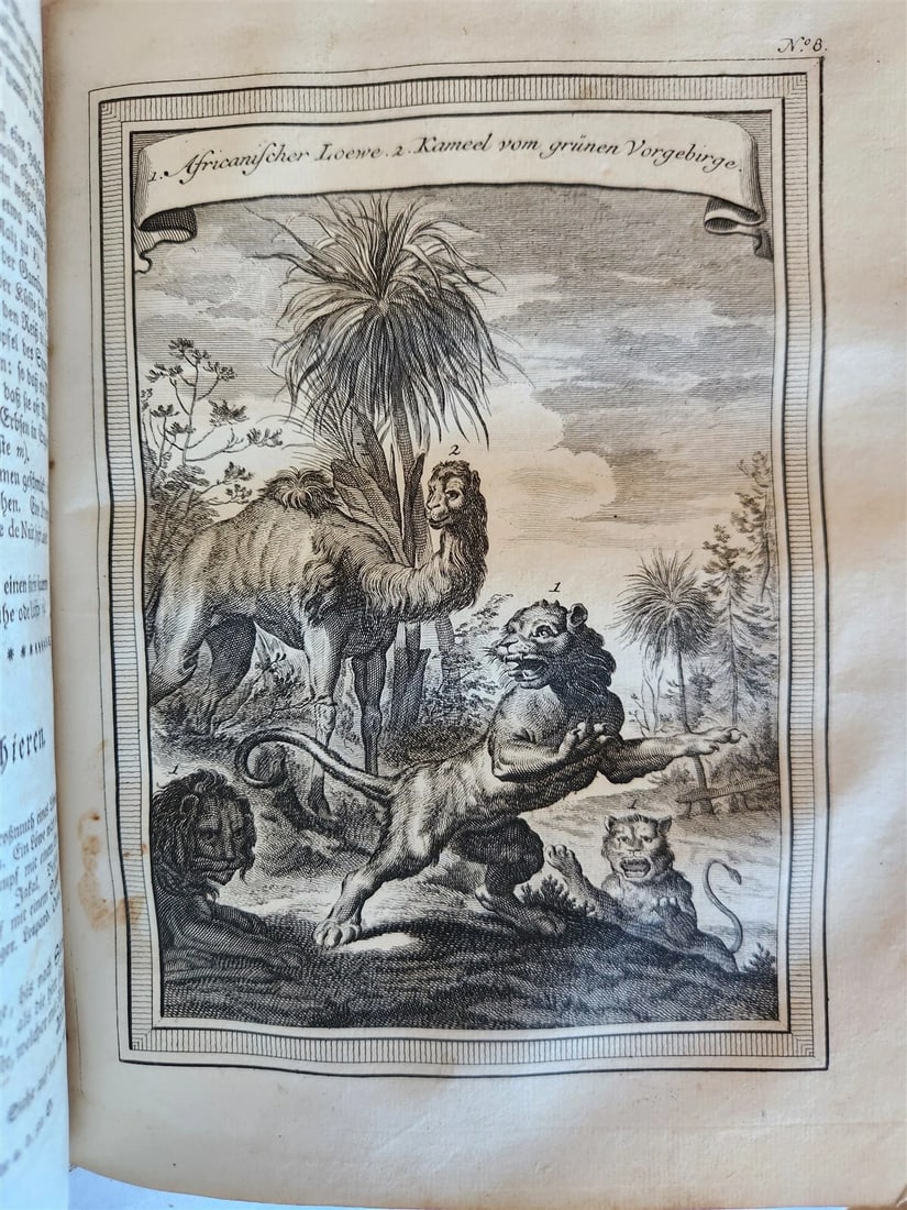 1748 HISTORY of TRAVELS Guinea Benin & Sierra Leone antique ILLUSTRATED - 10