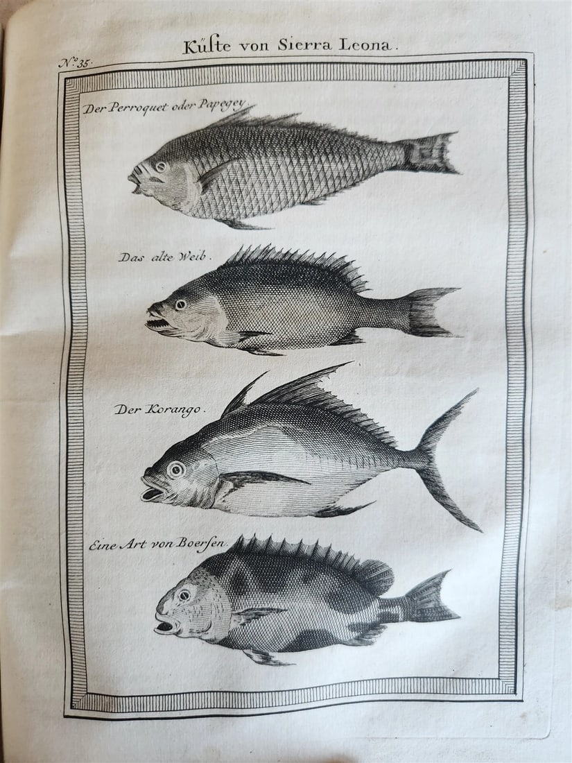 1748 HISTORY of TRAVELS Guinea Benin & Sierra Leone antique ILLUSTRATED - 11