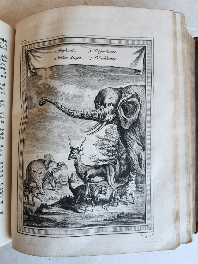 1748 HISTORY of TRAVELS Guinea Benin & Sierra Leone antique ILLUSTRATED - 12