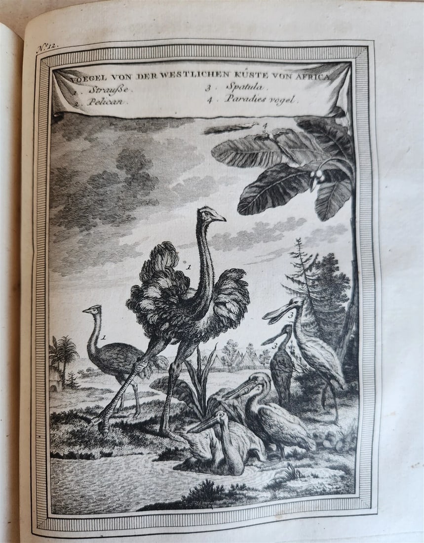 1748 HISTORY of TRAVELS Guinea Benin & Sierra Leone antique ILLUSTRATED - 14