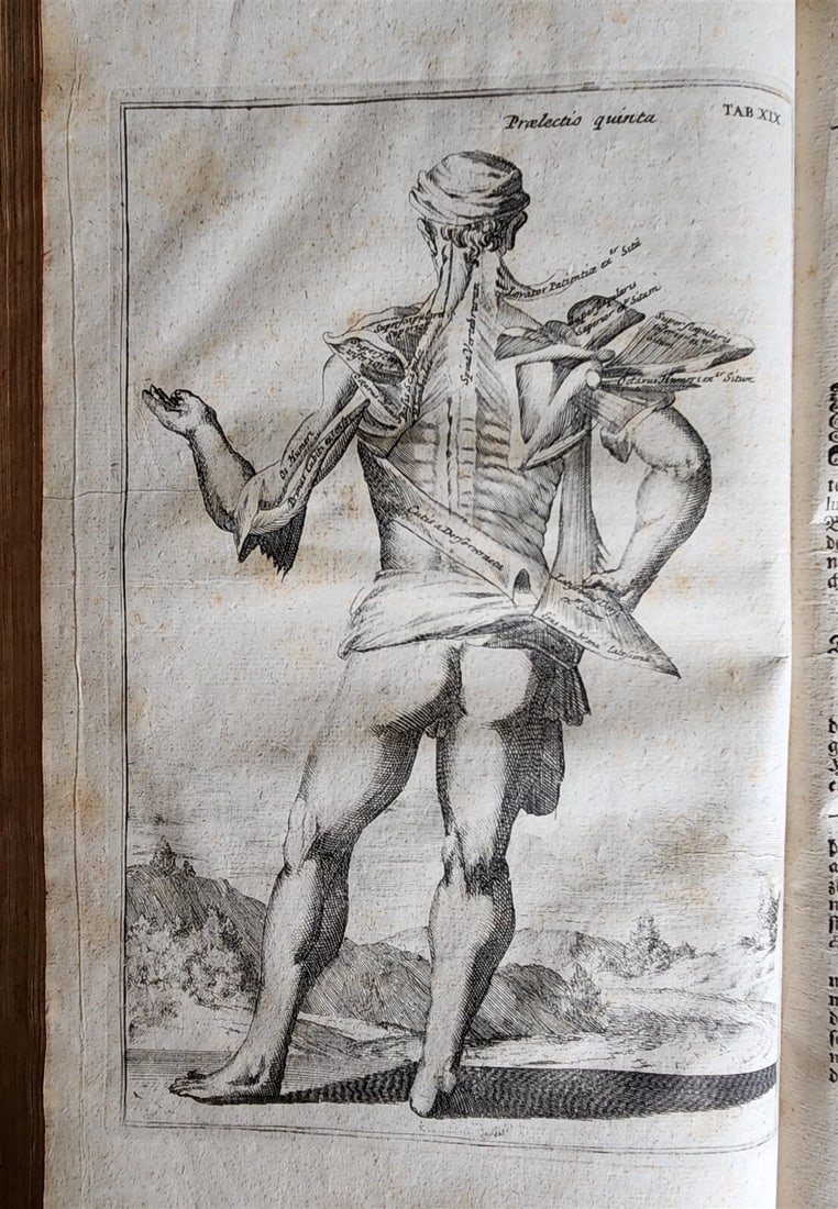 1704 ANATOMY MUSCLE TREATISE antique AMAZINGLY ILLUSTRATED (1 of 15)