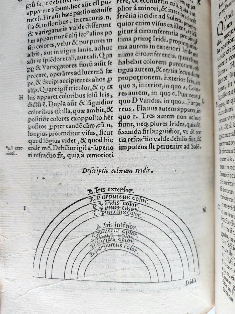 1574 ARISTOTLE 6 VOLS SET ILLUSTRATED antique VELLUM BINDINGS MANUSCRIPT SPINES - 13