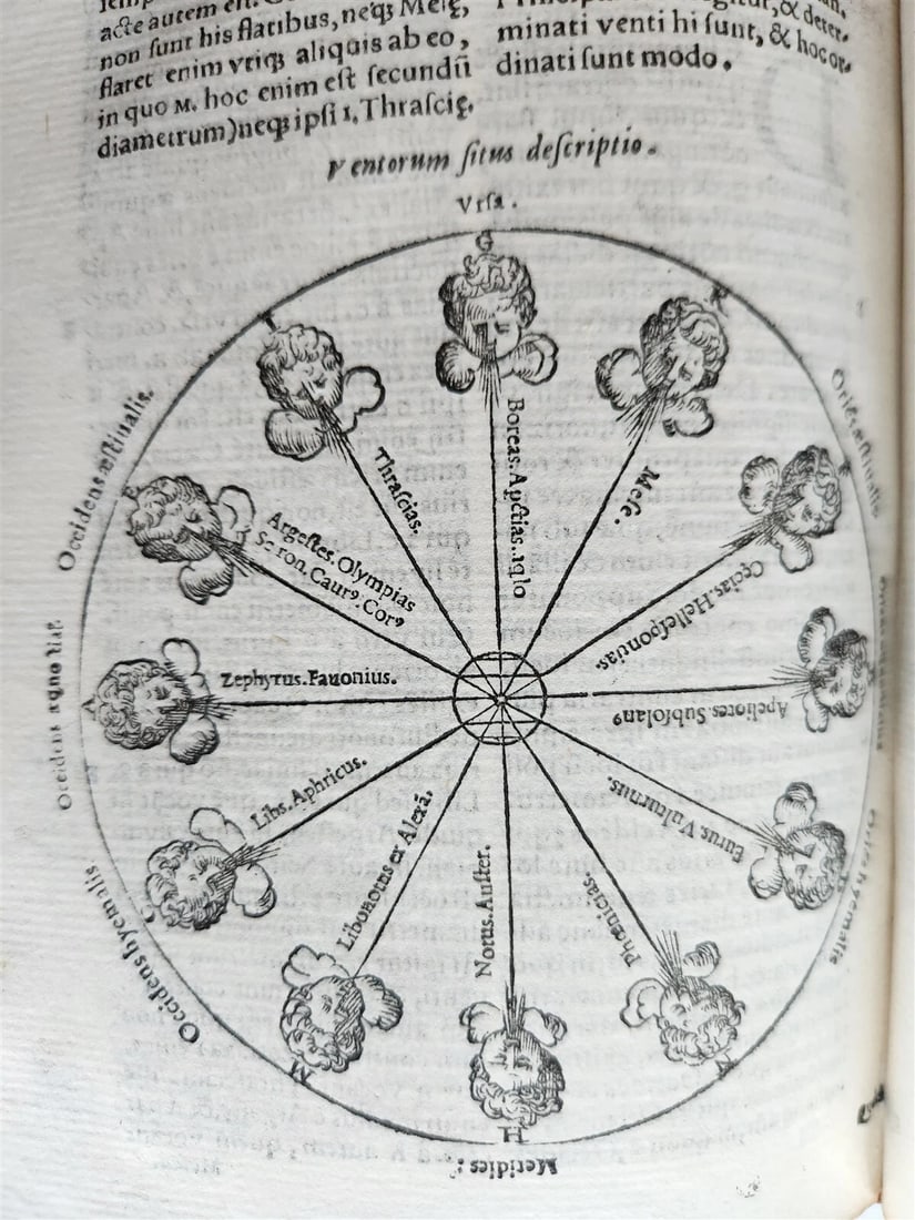1574 ARISTOTLE 6 VOLS SET ILLUSTRATED antique VELLUM BINDINGS MANUSCRIPT SPINES - 14