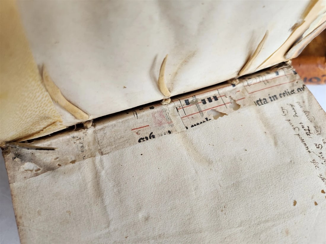 1574 ARISTOTLE 6 VOLS SET ILLUSTRATED antique VELLUM BINDINGS MANUSCRIPT SPINES - 5