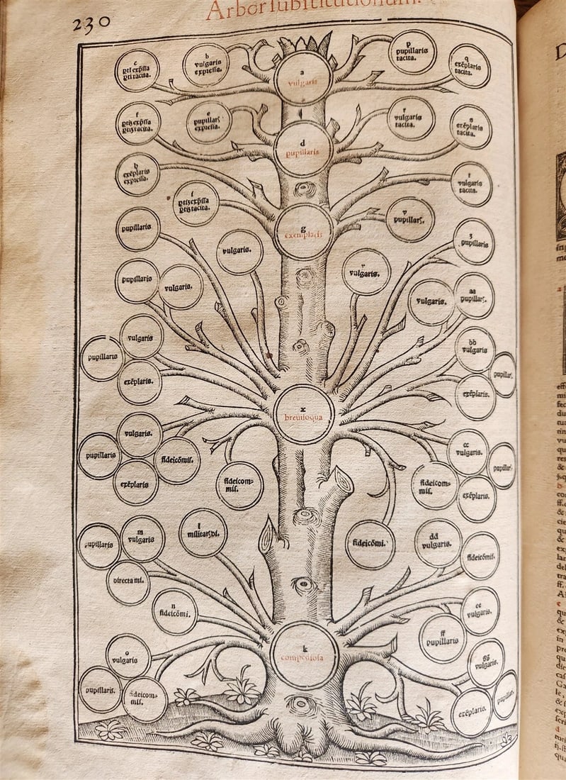 1556 LAW BOOK Corpus Juris Civilis PANDECTARUM antique MASSIVE FOLIO vellum - 10