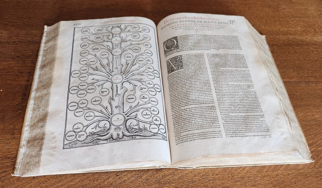 1556 LAW BOOK Corpus Juris Civilis PANDECTARUM antique MASSIVE FOLIO vellum - 9