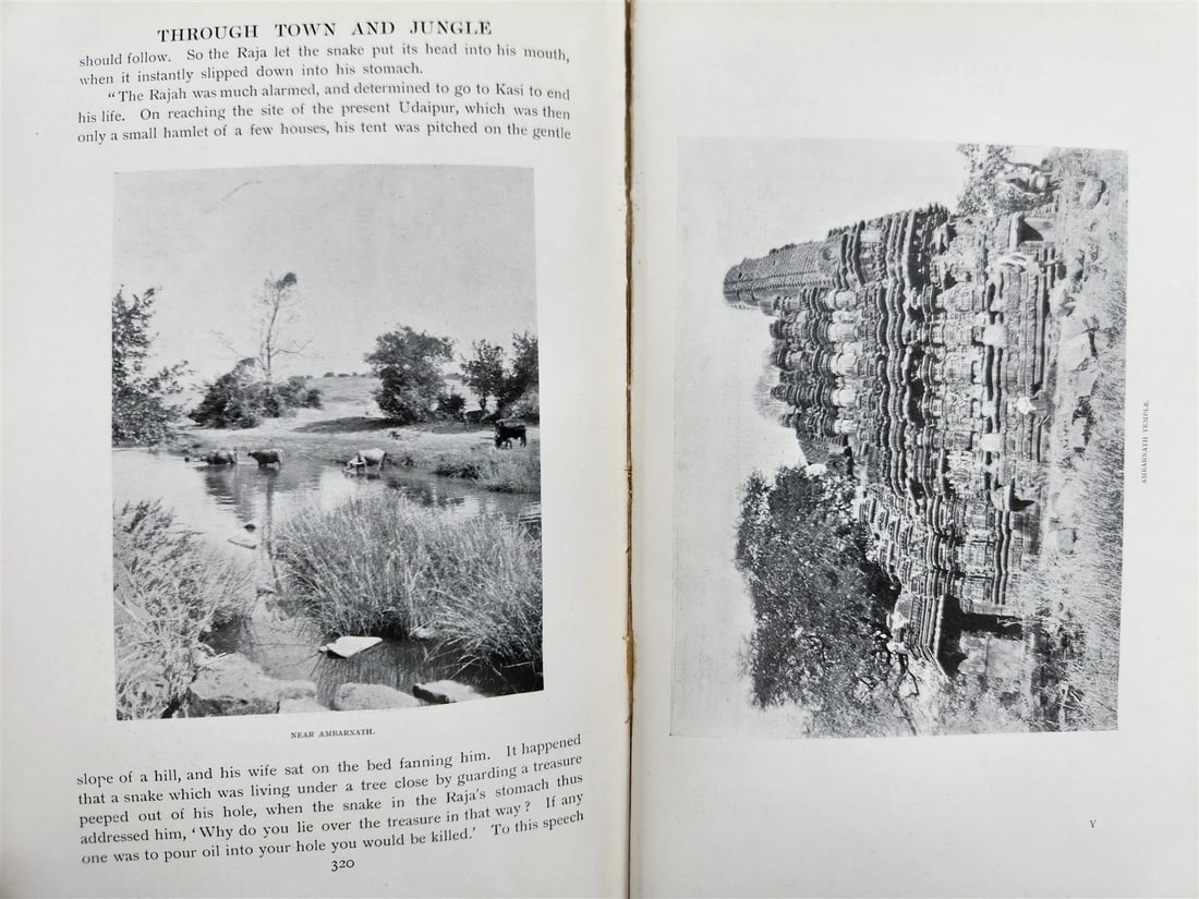 1904 Through Town & Jungle 14,000 Miles A-Wheel ... INDIA ILLUSTRATED antique - 13