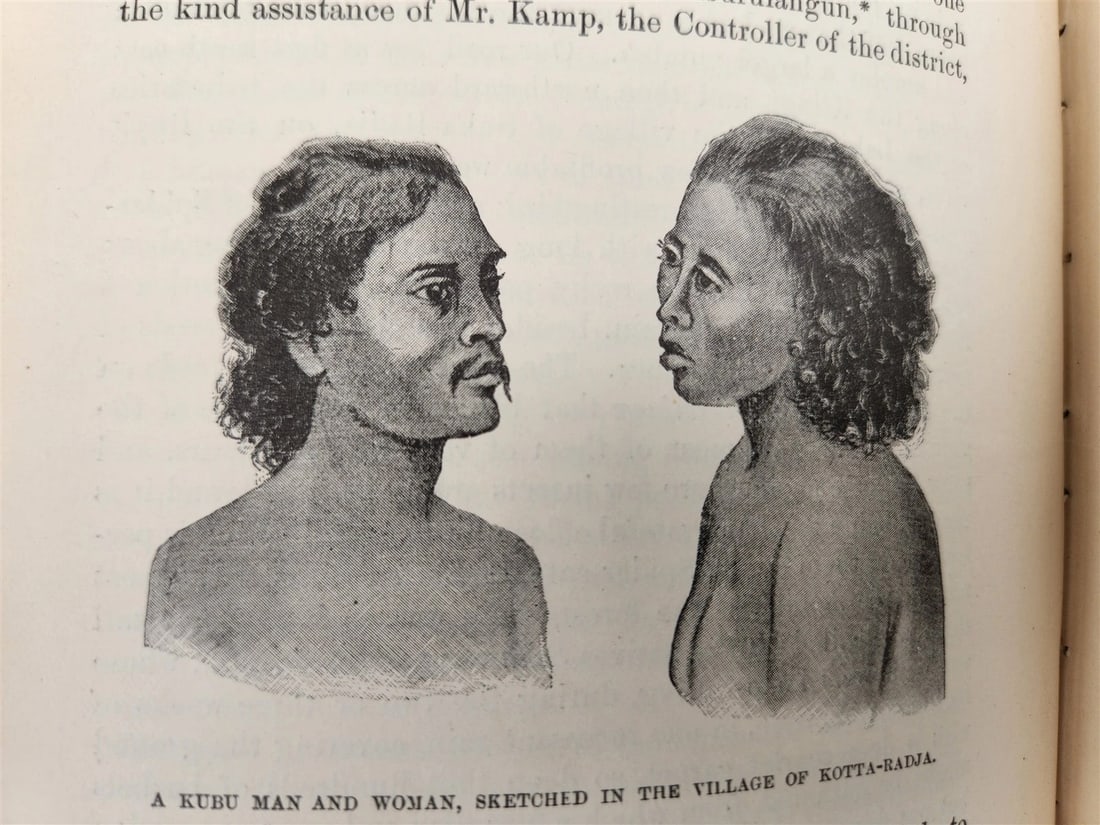 1885 Naturalist's Wanderings in the Eastern Archipelago antique Java Sumatra - 14