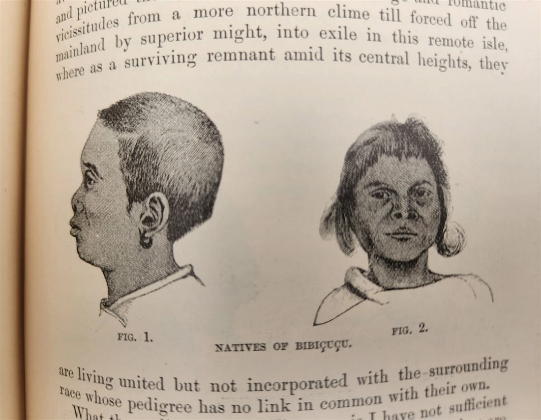 1885 Naturalist's Wanderings in the Eastern Archipelago antique Java Sumatra - 6