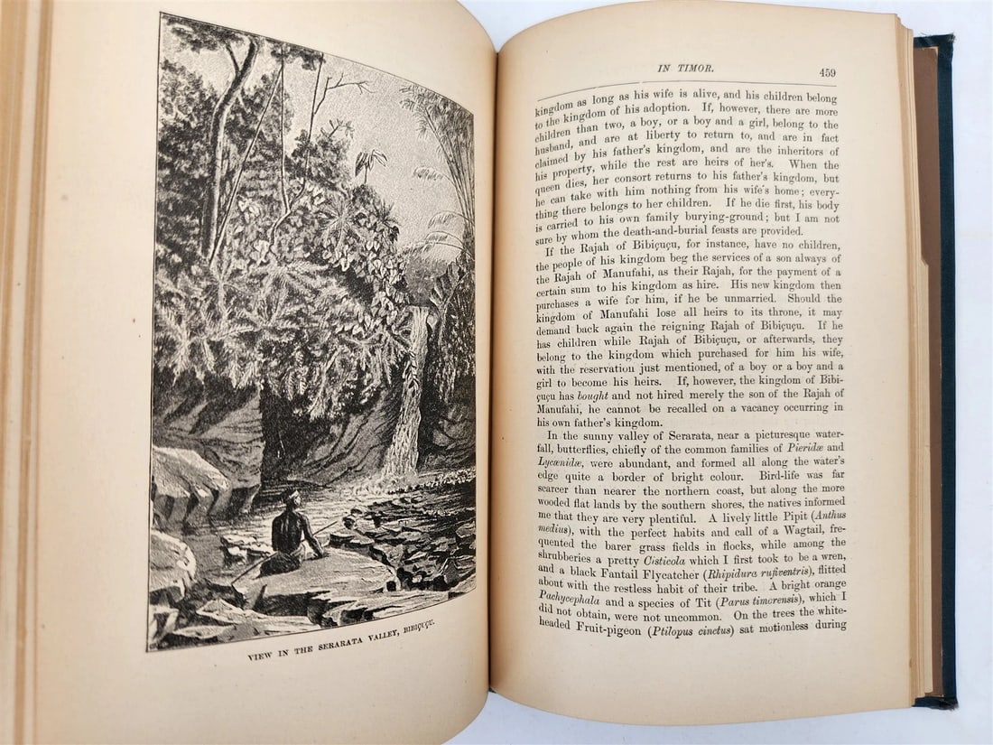 1885 Naturalist's Wanderings in the Eastern Archipelago antique Java Sumatra - 7