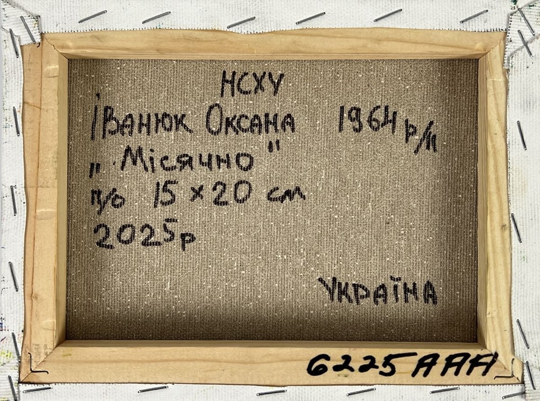 Oil painting Monthly light in the village Oksana Ivanyuk - 11