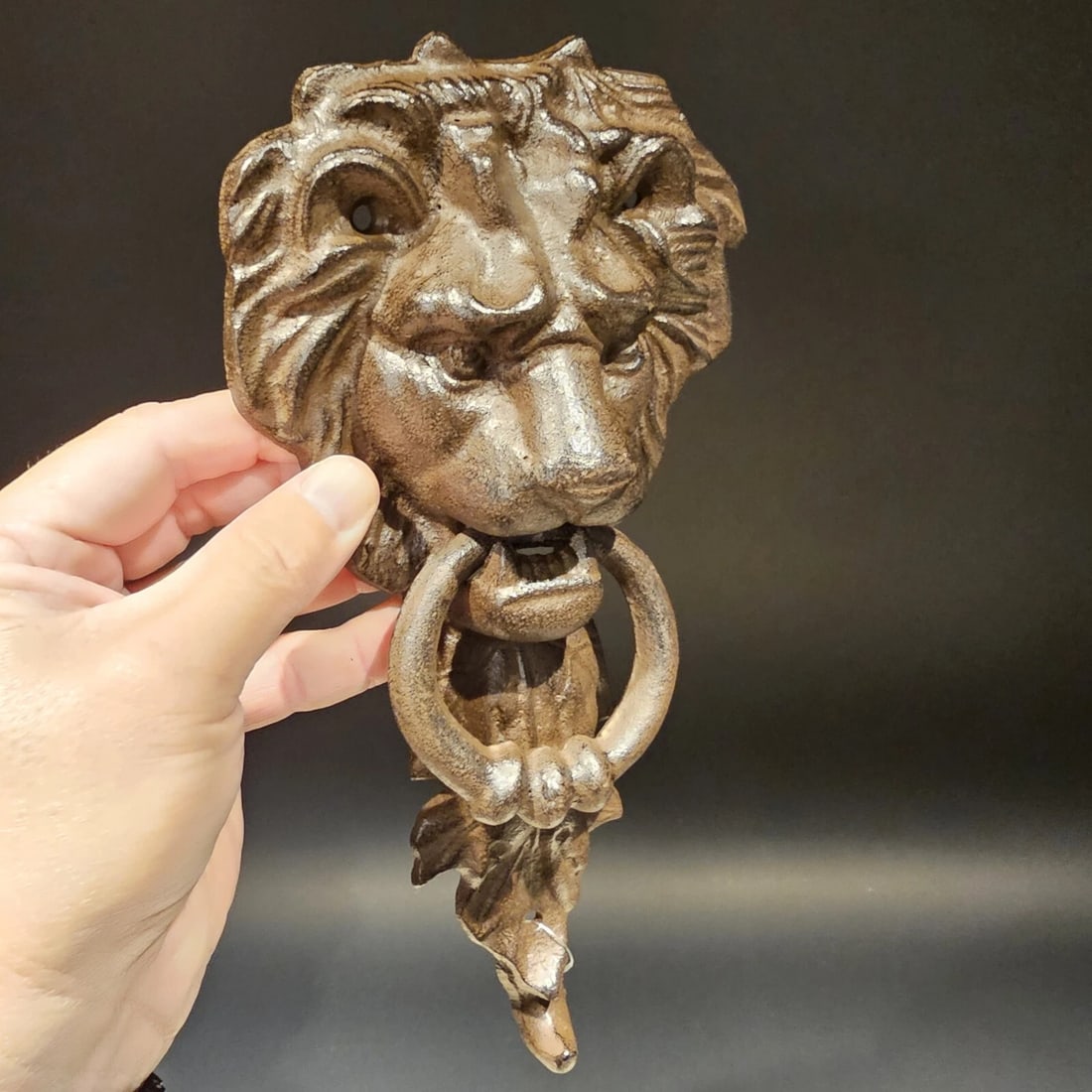 Cast Iron Lion Door Knocker w Hook - 16