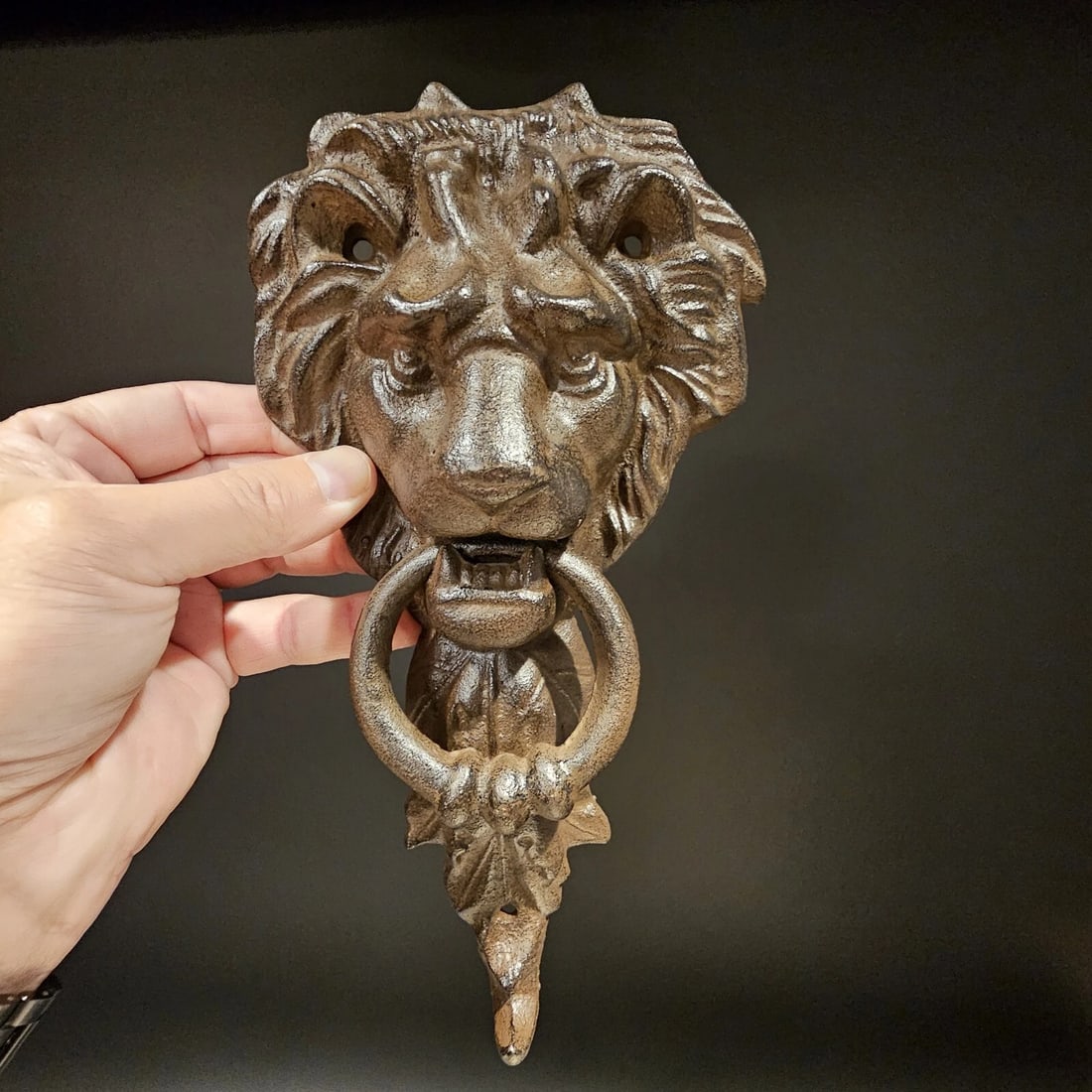 Cast Iron Lion Door Knocker w Hook - 19