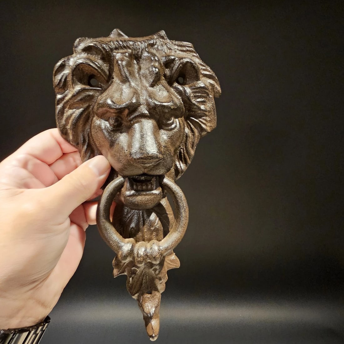 Cast Iron Lion Door Knocker w Hook - 7