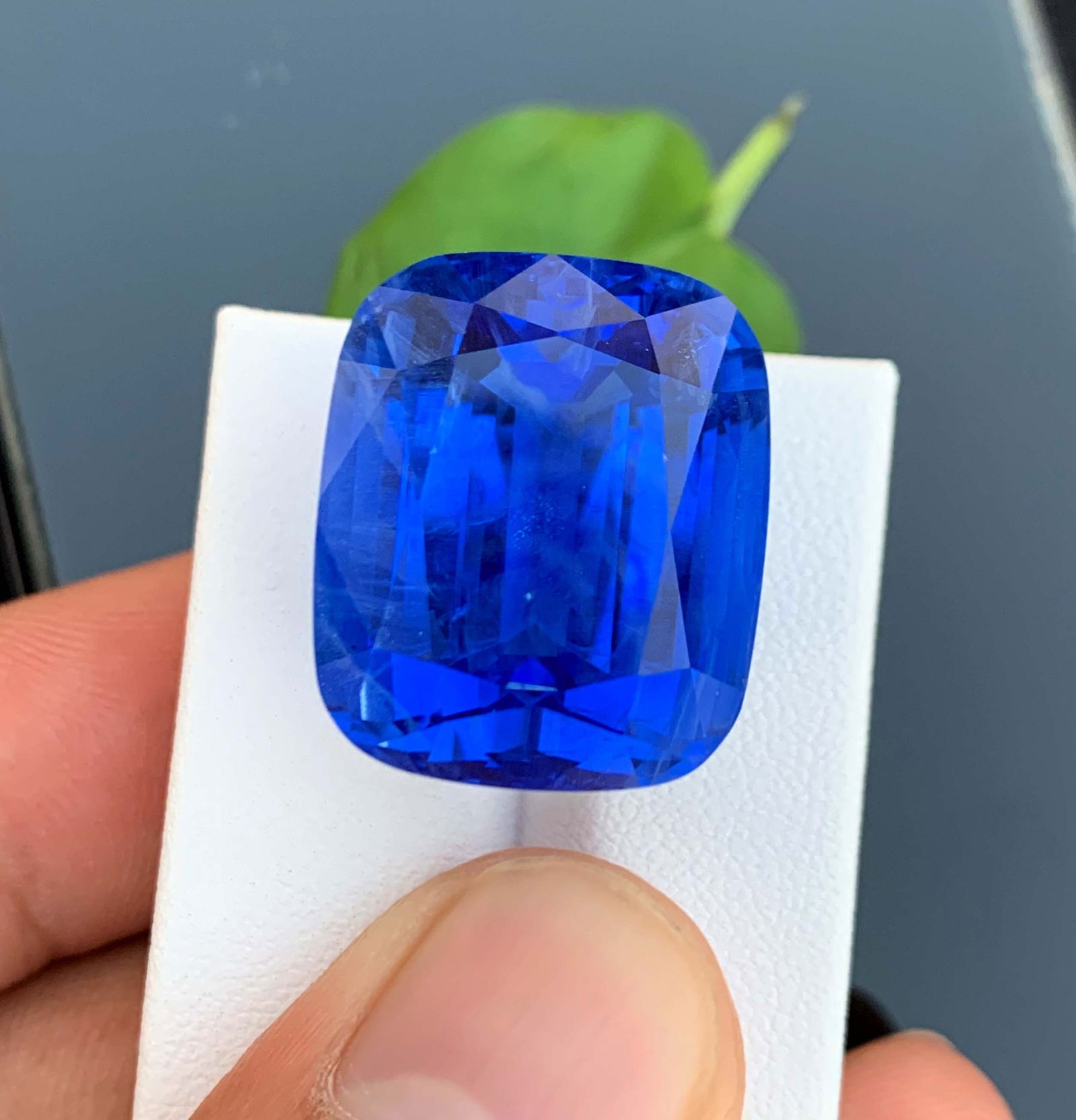 55.32 Carat Santa Maria Aquamarine Gemstone: Deep Blue Cushion Cut - 10