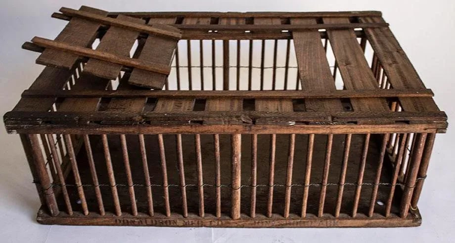 Antique Country Chicken Coop - Poultry Cage - Great Coffee Table - 2