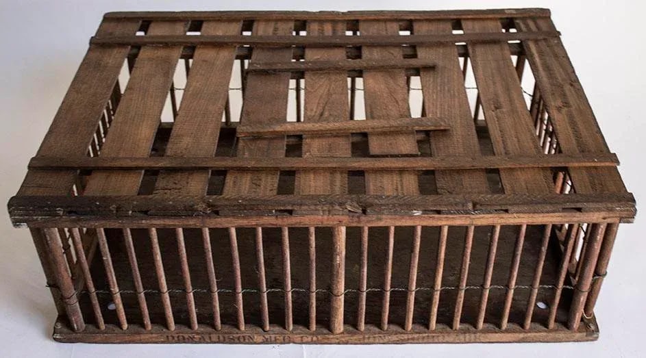 Antique Country Chicken Coop - Poultry Cage - Great Coffee Table - 3