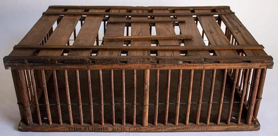 Antique Country Chicken Coop - Poultry Cage - Great Coffee Table - 4