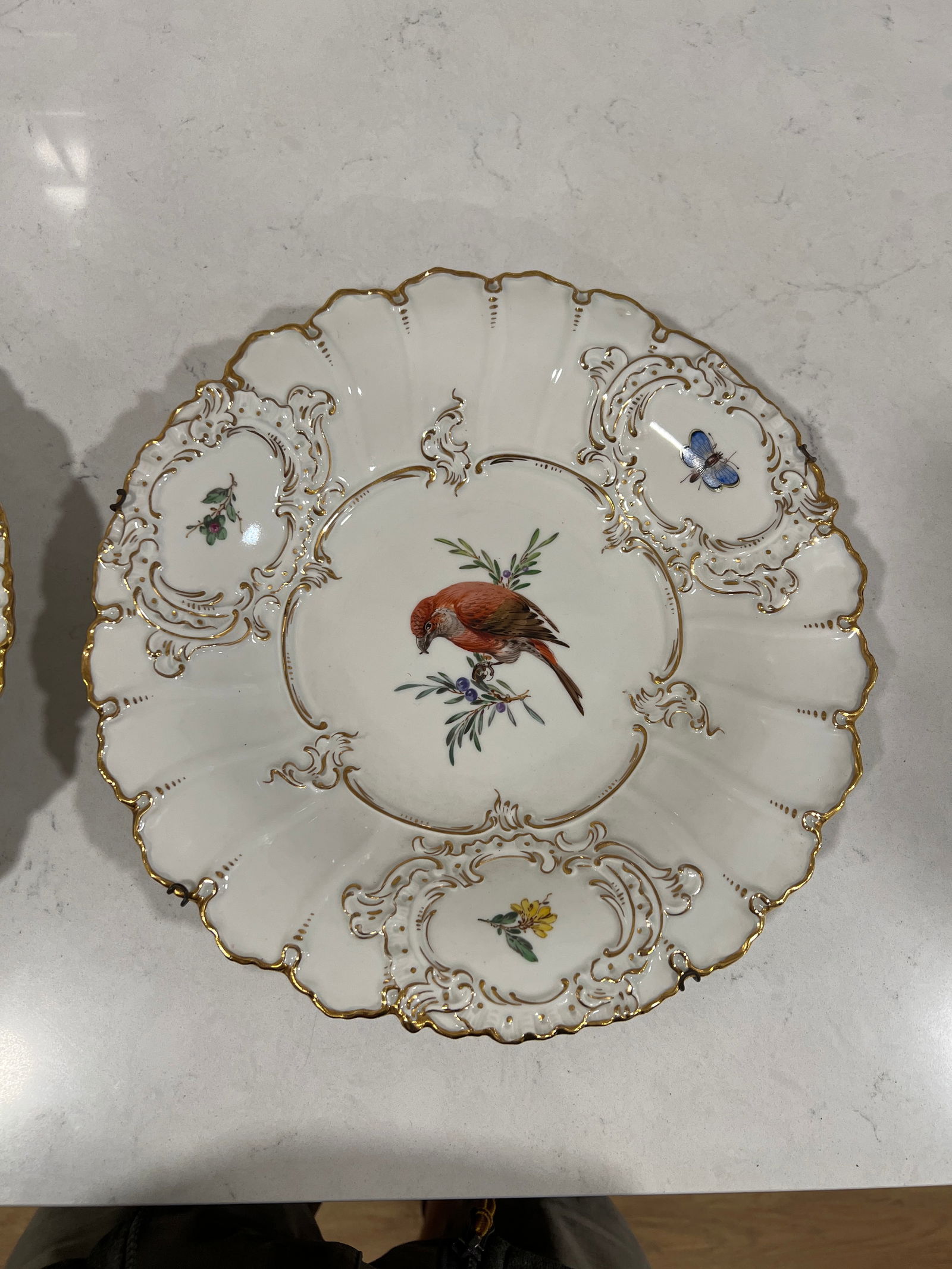 Pair, Antique Meissen Porcelain Ornithological & Gold Encrusted Chargers - 3