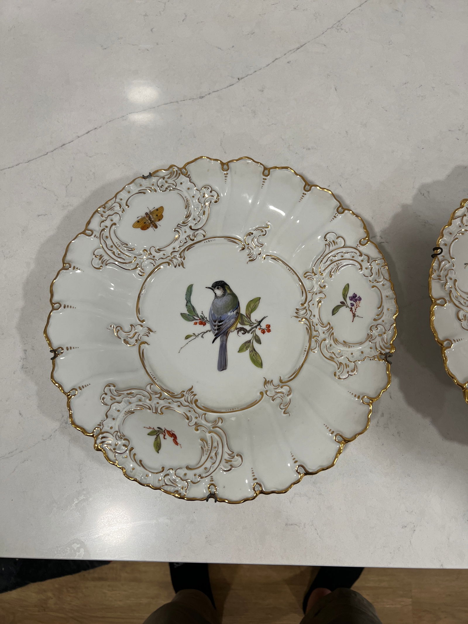 Pair, Antique Meissen Porcelain Ornithological & Gold Encrusted Chargers - 6