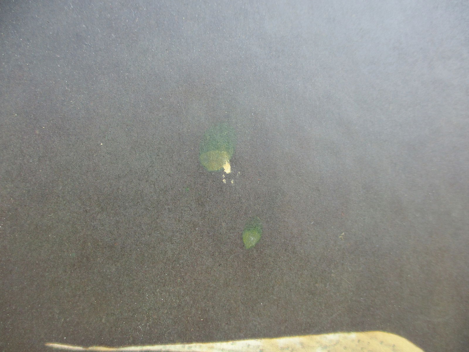 La Barge Gilded 30" Diameter Round Frame -The Lute Player - 8