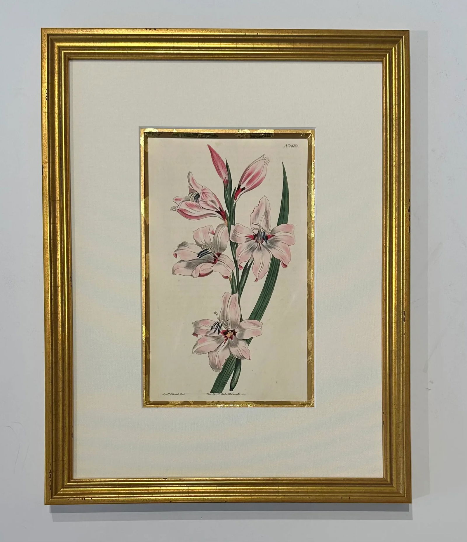 Botanical Set of 9 in Gold Leaf Gesso Mat by Curtis, 1842 (Framed) - 8