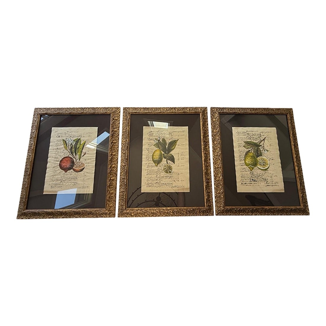 Set of 3 Chelsea House Botanical Prints: This trio of artwork looks like it could have been passed down from your grandma or purchased straight from a gallery. A mixture of comfort and elegance, the three fruits are displayed over a series