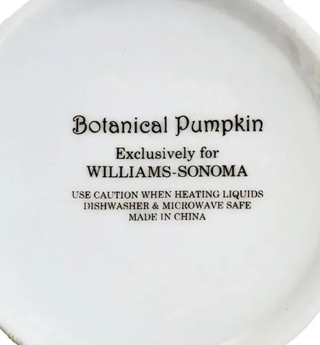 Williams - Sonoma Botanical Pumpkin China Service for 4 - 12 Pieces - 5