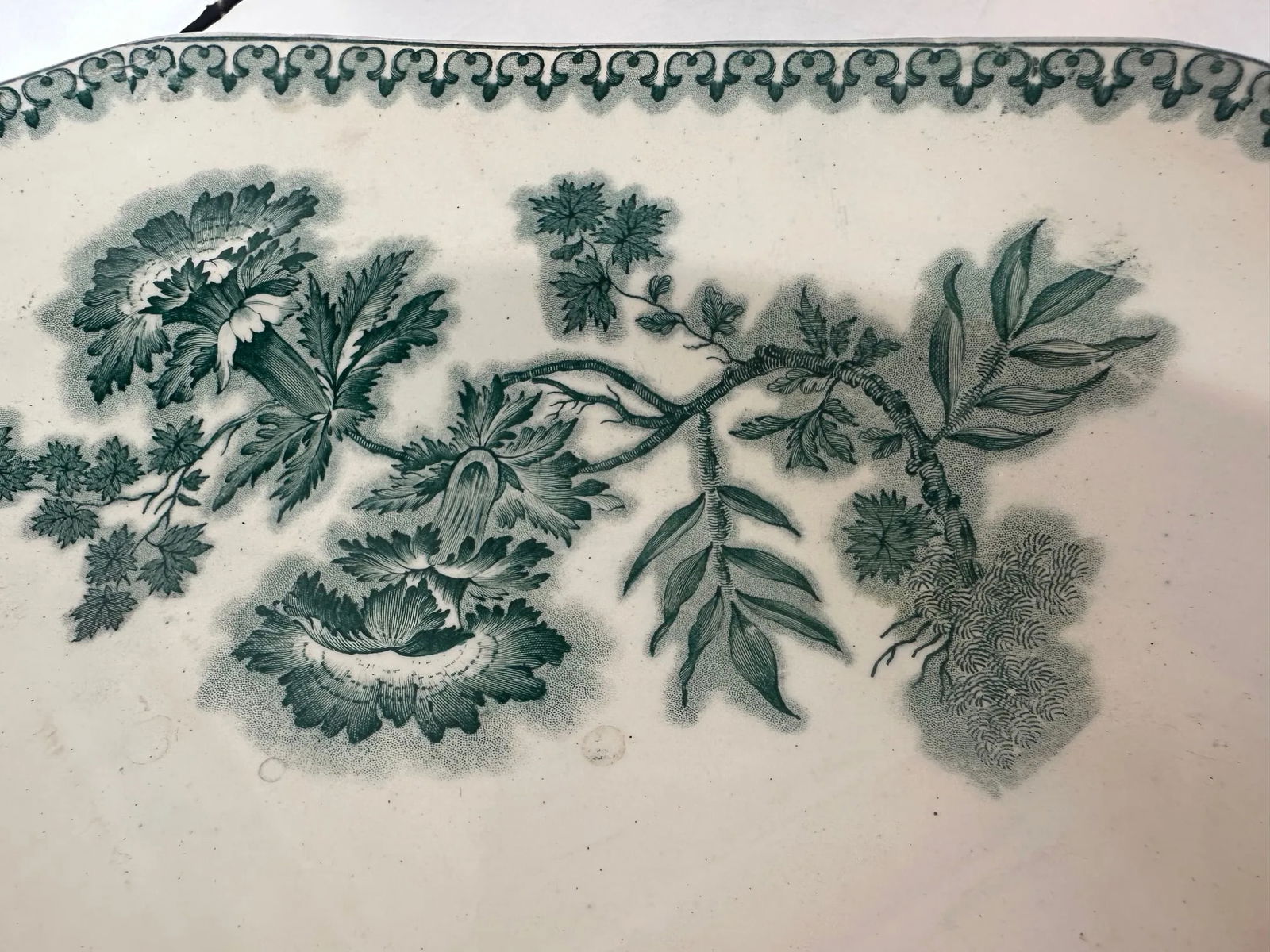 Large Green and White Spode Antique English Meat Platter - 11