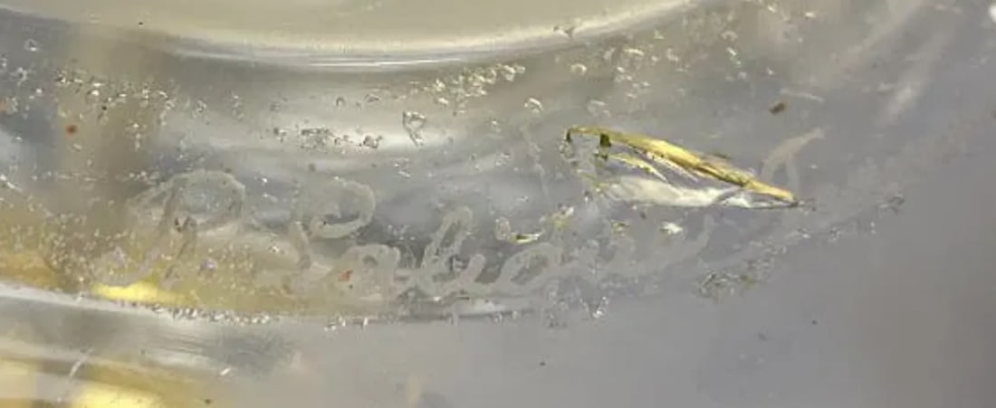 Rene Lalique "Sophora" Frosted and Clear Glass Table Lamp With Gilt Mounts C 1930 - 11