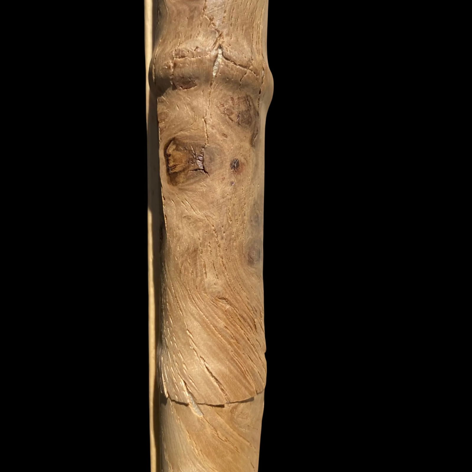 Antique Herbarium Botanicals, 1897 "” Set of 10 - 3