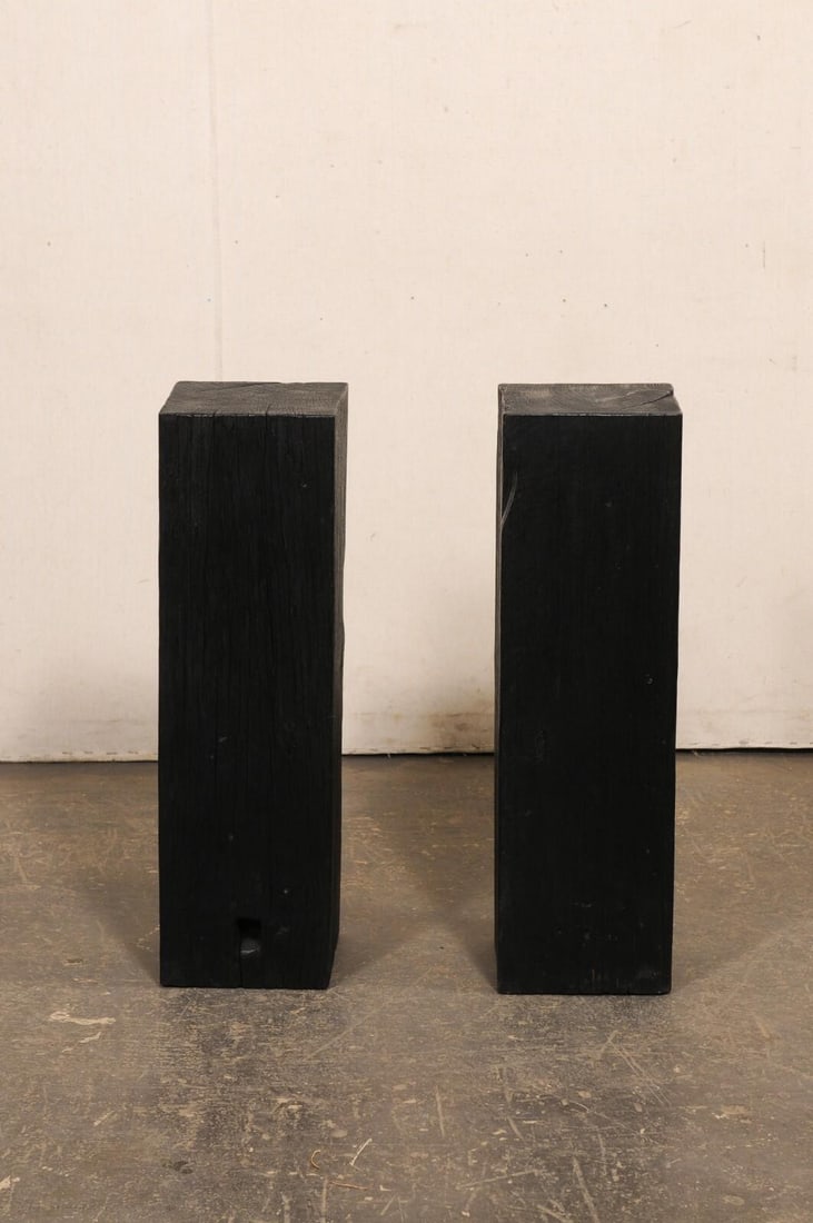 19th Century Indonesian Carbonized Ironwood Pedestal Columns – A Pair - 10
