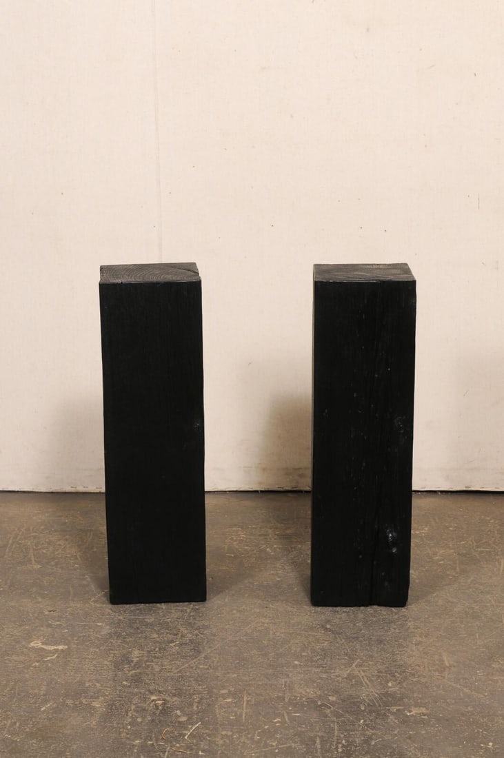 19th Century Indonesian Carbonized Ironwood Pedestal Columns – A Pair - 11