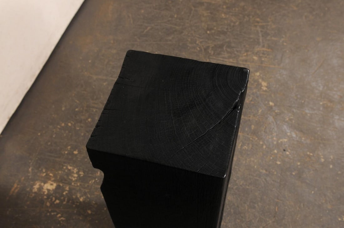 19th Century Indonesian Carbonized Ironwood Pedestal Columns – A Pair - 12