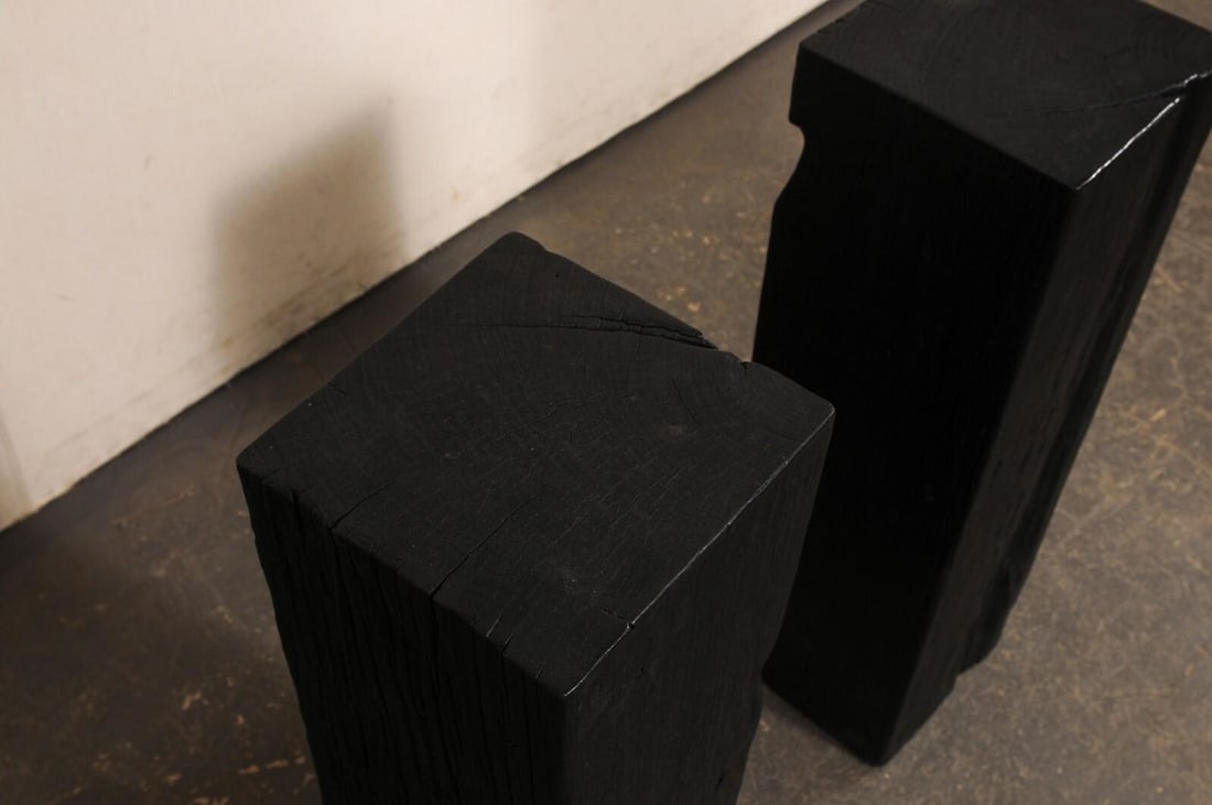 19th Century Indonesian Carbonized Ironwood Pedestal Columns – A Pair - 2