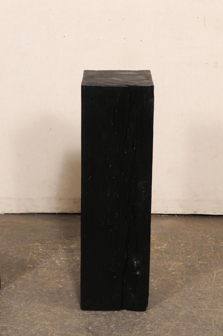 19th Century Indonesian Carbonized Ironwood Pedestal Columns – A Pair - 3