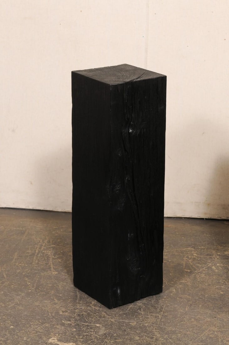 19th Century Indonesian Carbonized Ironwood Pedestal Columns – A Pair - 4