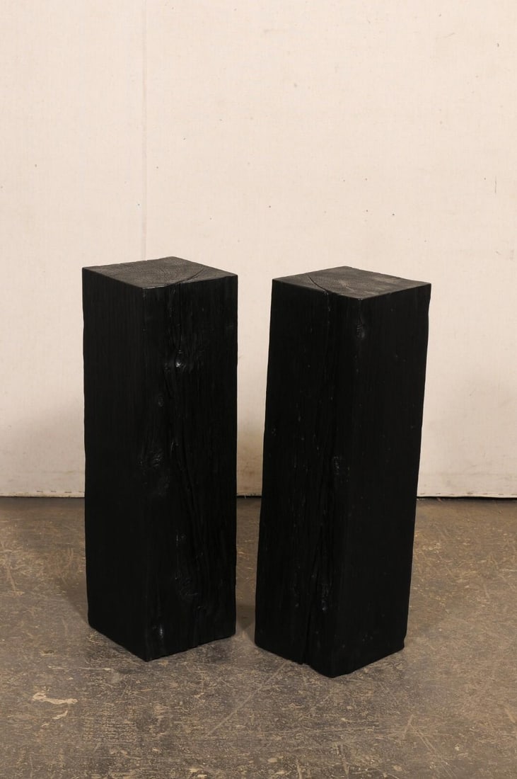 19th Century Indonesian Carbonized Ironwood Pedestal Columns – A Pair - 5