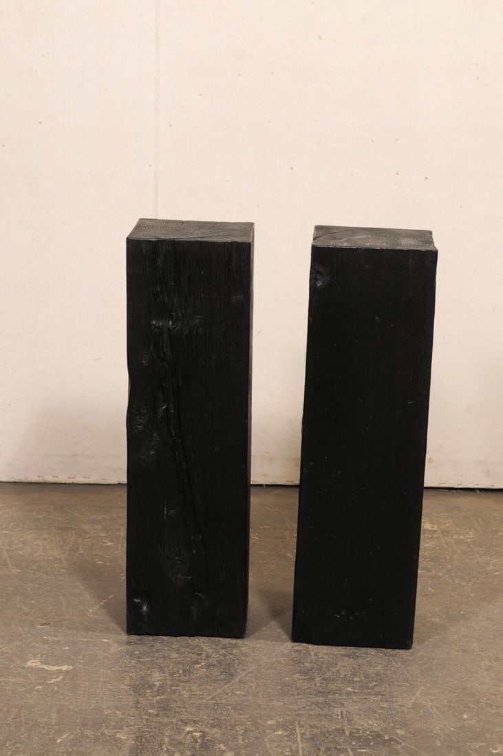 19th Century Indonesian Carbonized Ironwood Pedestal Columns – A Pair - 6