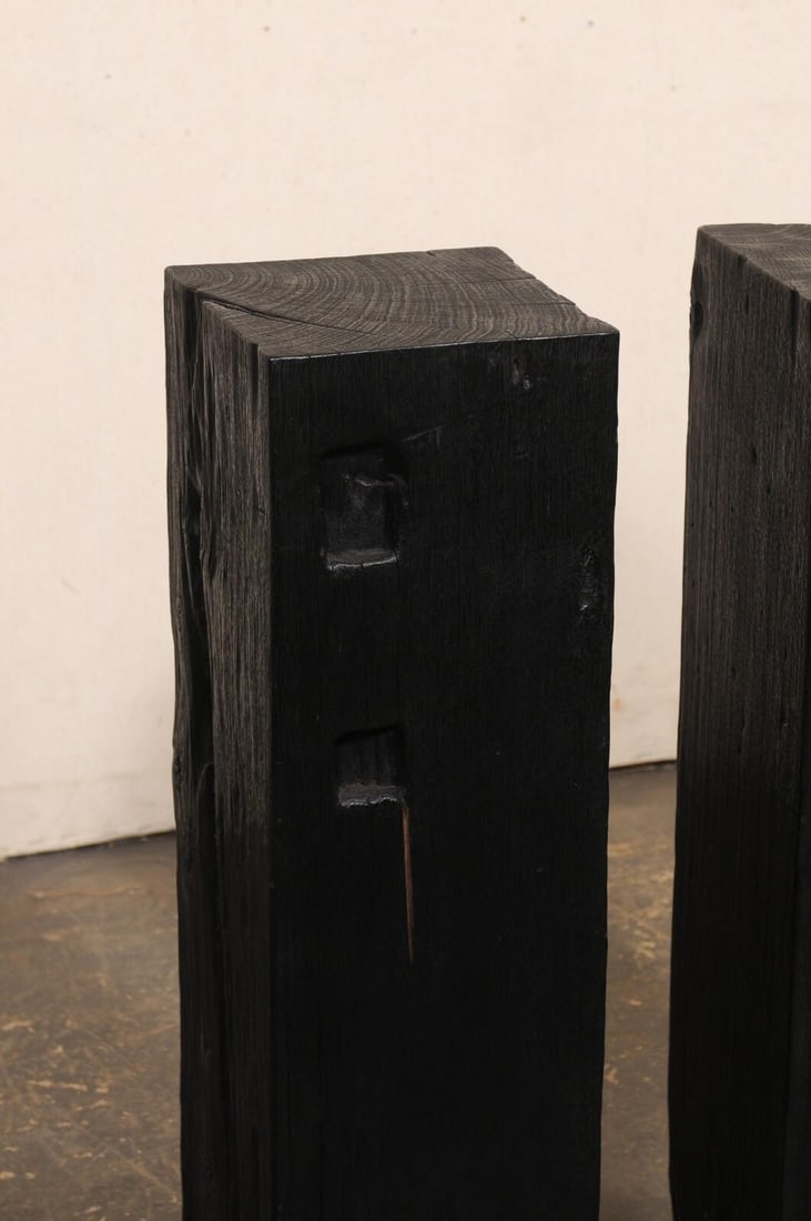 19th Century Indonesian Carbonized Ironwood Pedestal Columns – A Pair - 8